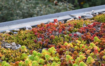 the cost of Ianstown green roof installation