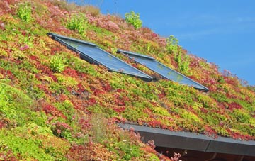 Ianstown living roof systems
