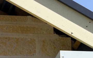 soffit repair Ianstown