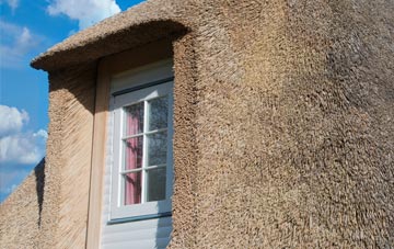 Ianstown thatch roof disadvantages