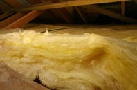 Ianstown pitch roof insulation